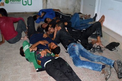 Hatay'da Aç Kalan Sığınmacılar Polise Başvurdu