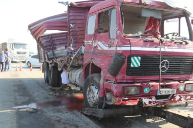 Kurbanlık Taşıyan Kamyon Yolcu Otobüsüne Arkadan Çarptı Açıklaması 6 Yaralı