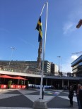 Bayrağın Yönünün Değiştirilmesi İsveçlileri Sinirlendirdi