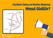 ÜCRETSİZ İNTERNET - Kurban Kesim Kayıtlarına Yoğun İlgi