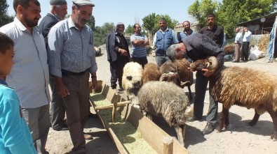 Malazgirt'te Kurbanlılara Yoğun İlgi