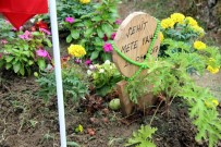 KABİR ZİYARETİ - Sevdikleri, En Çok Sevdikleri İle Ziyaretine Geldiler