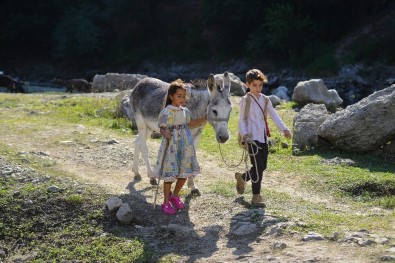 Usta Yönetmen Onur Tan'dan Sımsıcak Bir Aile Filmi Açıklaması 'Bal Kaymak'