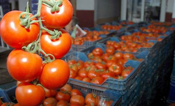 Rusya Tarım Bakanı'ndan domates açıklaması