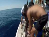KONYAALTI SAHİLİ - 5 metrelik köpek balığı oltaya takıldı