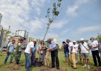 ZAKKUM - Atom Bombasına Direnen Ağaç Antalya'da Kök Salacak