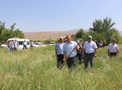 Erzincan'da İlk Kez İtalyan Çimi Alternatif Yem Bitkisi Tarla Günü Düzenlendi