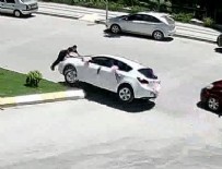 GELİN ARABASI - Gelin arabasının önüne yattı, ölümden döndü