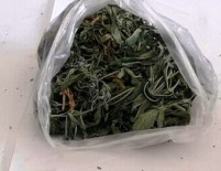 ERICEK - Kahramanmaraş'ta Uyuşturucu Operasyonu