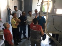 CENGIZ ERGÜN - Kula Mezbahası Denetimden Geçerek İşletim Belgesi Aldı