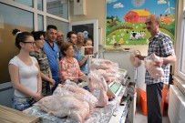 BİTKİSEL ÜRÜNLER - Üniversiteli Tavuklara Büyük İlgi