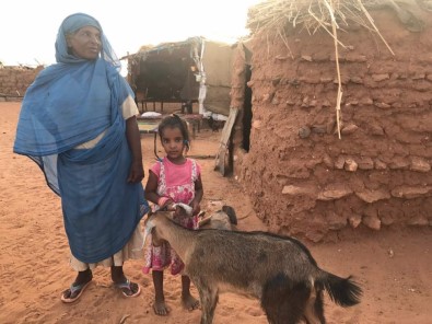 İhlas Vakfından Sudan'da Yetimlere Keçiler İle Süt Desteği