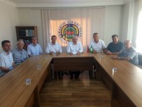 ŞEMSI BAYRAKTAR - Yağmur Ve Dolu Mısırı Etkiledi