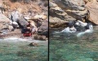 KUŞADASI KÖRFEZİ - Aracıyla Denize Uçtu, 2 Gün Kurtarılmayı Bekledi