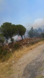 İzmir'de Piknik Alanı Yakınında Yangın