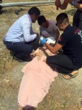 AHMET SUNGUR - Kazada Yaralananlara İlk Müdahale CHP'li Vekillerden Geldi