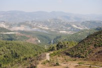 LAZKİYE - Suriye Sınırında Orman Yangını