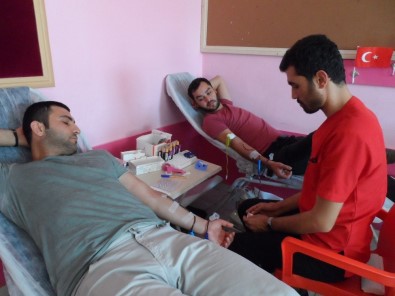 Ceylanpınar'da Kan Bağışı Kampanyası