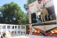 Elazığ'da 'Genç Çiftçi Desteklenmesi' Projesi