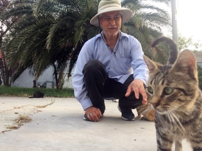 Fatih'ten Kasımpaşa'ya Yürüyen Kedi Sever Filipinli