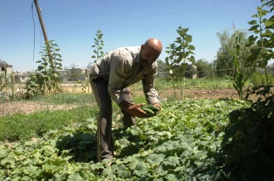 'Oğlum canlı bomba olabilir'