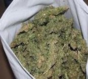 HINT KENEVIRI - Kocaeli'nde 41 Kilo Eroin Ele Geçirildi