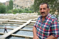 Banaz Çayı'ndaki Kirlilik Balık Çiftliğini Vurdu