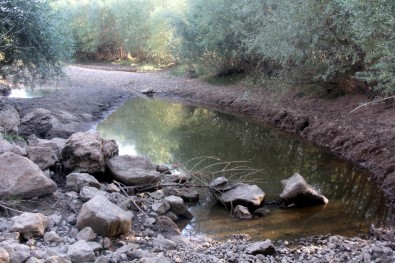 Çöl Sıcakları Nehri Kuruttu