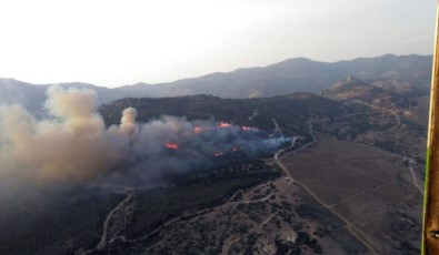Karşıyaka'da Orman Yangını