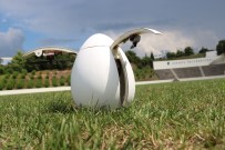 BİLGİSAYAR MÜHENDİSİ - 'Uçan Yumurta' Görenleri Şaşırttı