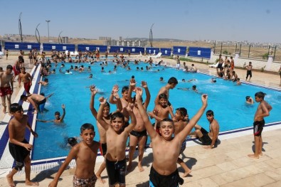 Şanlıurfa'da Bin 500 Genç Belediyenin Kurslarında Yüzme Öğrendi