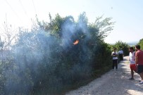 SÖNDÜRME TÜPÜ - Sinop'ta Yangın