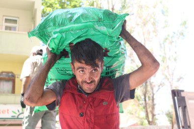 3 Dil Bilen Üniversite Mezunu Hamallık Yapıyor