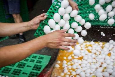 Belçika'dan Hollanda'ya Yumurta Suçlaması