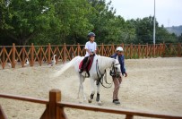 SULTANGAZİ BELEDİYESİ - Küçük Kaşifler Sultangazi Şehir Ormanları'nda