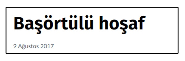Sözcü yazarından tepki çeken başlık