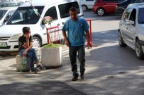 550 Acemi Kasap Hastanelik Oldu