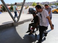 ACEMİ KASAP - Nevşehir'de Acemi Kasaplar Hastaneye Koştu