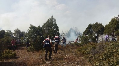 Domaniç'teki Orman Yangınını Söndürme Çalışmaları Sürüyor