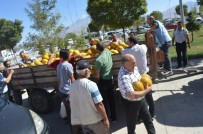 NEVRUZ - Hasta Yakınından Hastaneye Bir Traktör Kavun