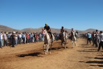 AT YARIŞLARI - Karlıova'da Geleneksel At Yarışları