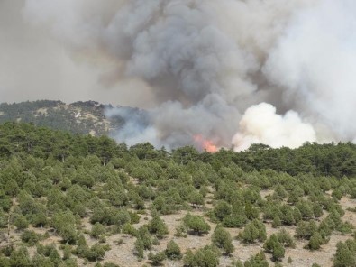 Kütahya'da Orman Yangını Söndürülemiyor