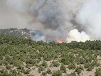 SEDAT OKTAR - Kütahya'da Orman Yangını Söndürülemiyor