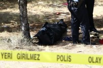 KARACAÖREN - Ormanda Ağaca Asılı Kadın Cesedi Bulundu
