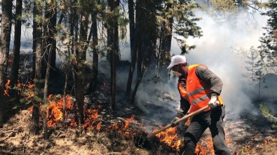Sarıkamış ormanları alev alev yanıyor
