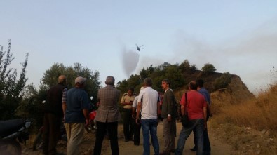 Turgutlu'da Orman Yangını