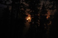 Domaniç'te Orman Yangını Söndürme Çalışmaları Gecenin Geç Saatlerine Kadar Devam Etti