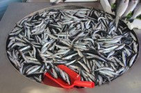 Fiyatı Düşen Hamsiye Yoğun İlgi