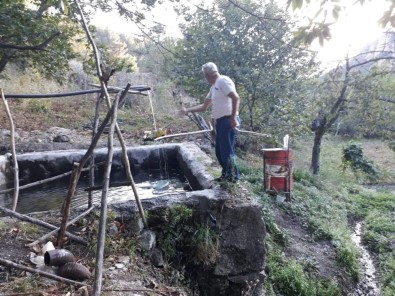 İlginç Domuz Kovma Yöntemi