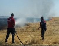 ALTINŞEHİR - Kampüs Alanı Arkasında Yangın